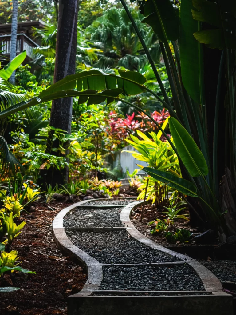 Camino en un Jardín japones